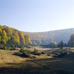 Bukk 10 cabins