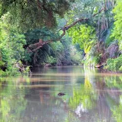 Meru 15 holiday rentals
