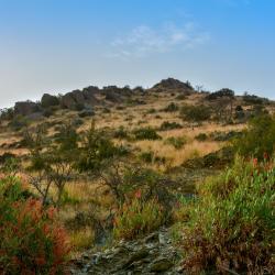 Al Baha Province 7 апартамента на хотелски принцип