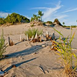 Prince Edward County 33 beach rentals