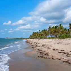 Saadani National Park 3 hotels with parking