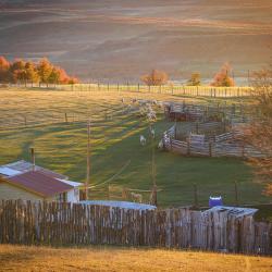 Carretera Austral 13 serviced apartments