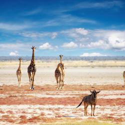 Etosha National Park 4 cottages