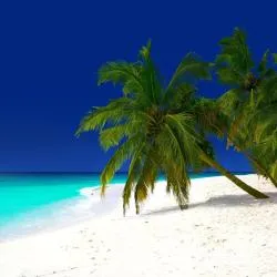 Baa Atoll 6軒のコテージ