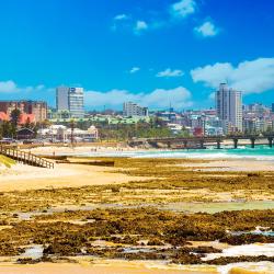 Port Elizabeth