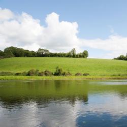 Cavan County