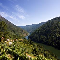 Ribeira Sacra