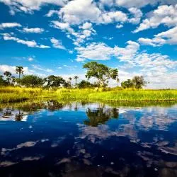 Okavango Delta 13軒のコテージ