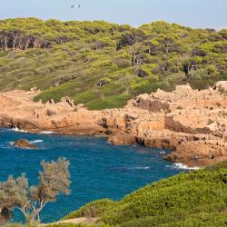 Tipaza Province 11 hytter