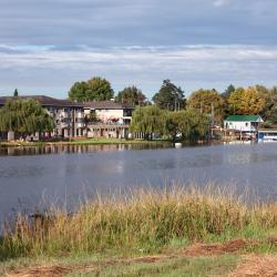 Benoni