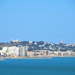 Grand Tunis 25 of the guest houses