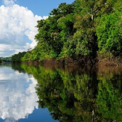 Amazonas 16 cabins
