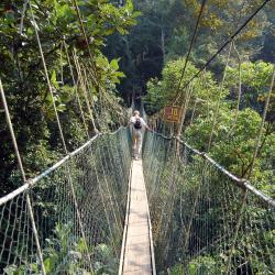 Taman Negara 9 ferieboliger