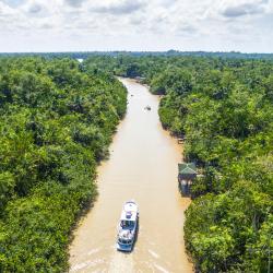 Caquetá 18 pet-friendly hotels