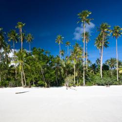 Maluku 3 chaleter
