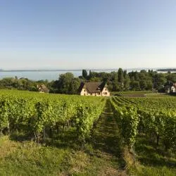 Lake Neuchatel 7軒のビーチ周辺のバケーションレンタル