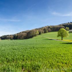 Aargau