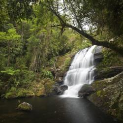 Serra da Bocaina National Park