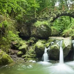 Little Switzerland 3軒のシャレー