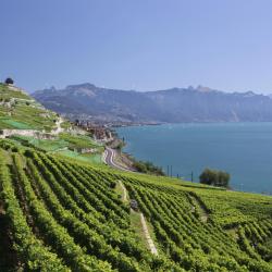 Lavaux 7 country houses