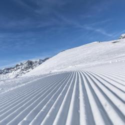 Pila