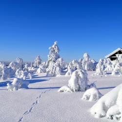 Saariselka Ski 3 casas de hóspedes