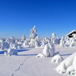 Saariselka Ski