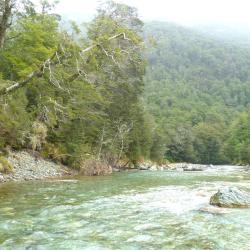 Queenstown Region 562 lake house rentals