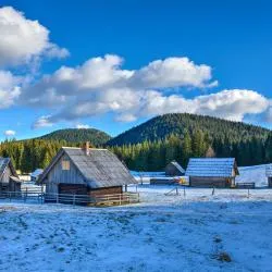 Pokljuka 26軒のコテージ