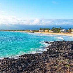 Isabela Island 29 beach rentals