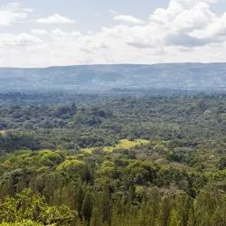 Kakamega 14 holiday rentals