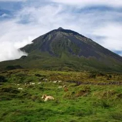 Pico island 245軒のバケーションレンタル