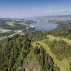 Pieniny Mountains 320軒のコテージ