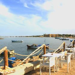 Houmt Souk 8 of the guest houses