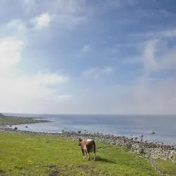 Jæren 4軒のビーチ周辺のバケーションレンタル