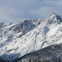 Brenner