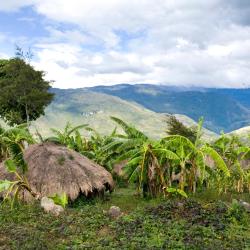 Papua