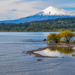 Villarrica Lake 3 kempingi