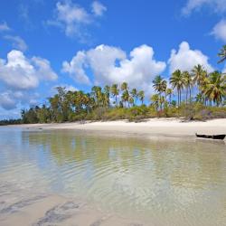 Isla de Mafia 3 chalets de montaña