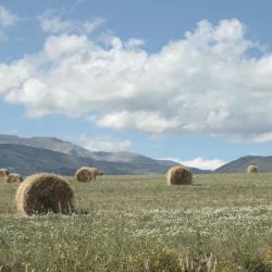 Alta Cerdanya