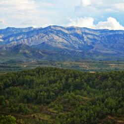 Terra Alta