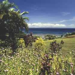 Taveuni 7 resorts