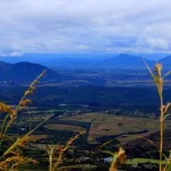 Mutare