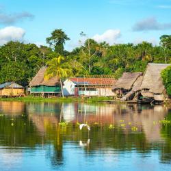 Selva de Iquitos 3 hostels