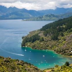 Marlborough Sounds 4 holiday park