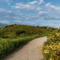 Camino North Route
