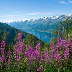 Hardanger 4 campgrounds