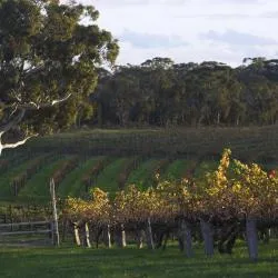 Barossa Valley 92軒のバケーションレンタル