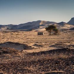 Al Sharqiyah 53 of the luxury tents