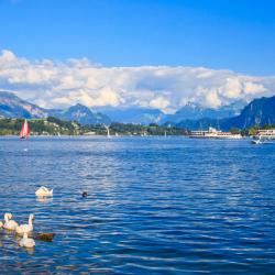 Lago de Lucerna 3 chalets de montaña